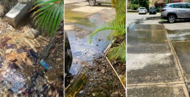 Avería provoca desperdicio de agua potable en Ciudad Real II