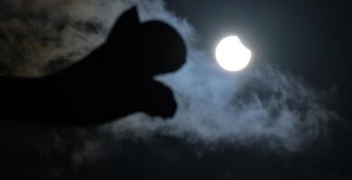 Dónde ver el eclipse solar total del 12 de agosto en España