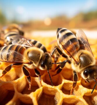 Nuevo estudio desafía teoría genética de sociedades de insectos