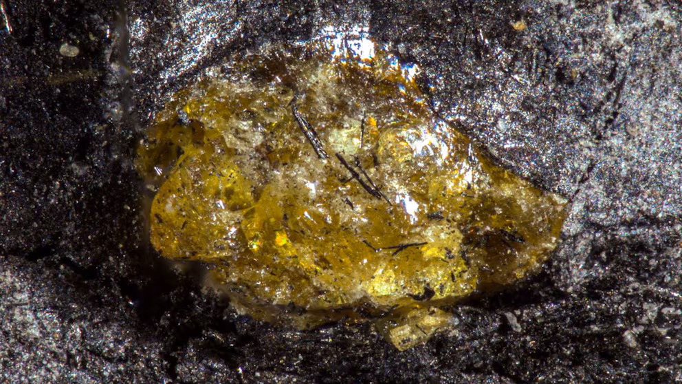 China encuentra yacimientos de resina fosilizada que existió antes que los dinosaurios