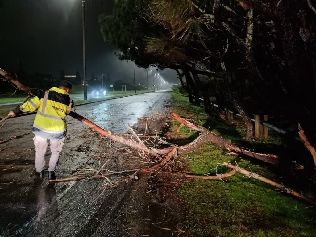 Temporal en Uruguay: un muerto, miles sin luz y un muro de estadio derrumbado