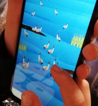 Dos apps gratuitas para identificar aves y contar ejemplares en España
