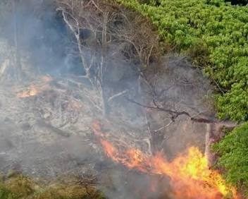 Devastador incendio forestal en la parte alta de San José de Ocoa