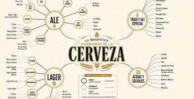 Infografía | Las mayores cerveceras del mundo