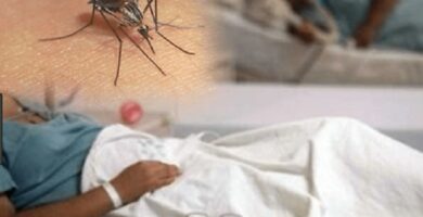 Salud Pública reporta 213 casos de dengue en 2026 y descarta alerta epidemiológica nacional
