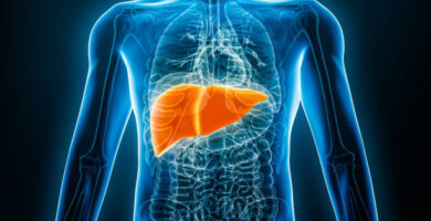 Identifican proteína que protege al hígado del envejecimiento