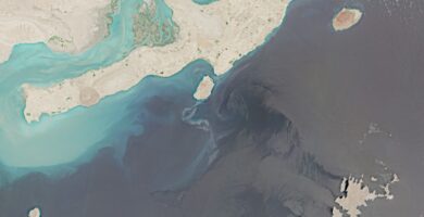 Derrames de petróleo en el Golfo Pérsico encienden alerta ambiental