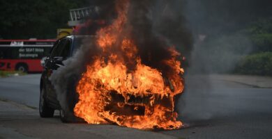 Tu coche puede ser un peligro para la naturaleza: si no quieres originar un incendio, es importante que revises estos elementos antes de conducir
