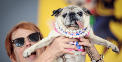Jinny Lu conquista al público en el concurso del perro más feo