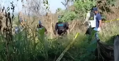 Realizan hallazgo en San Victor Arriba