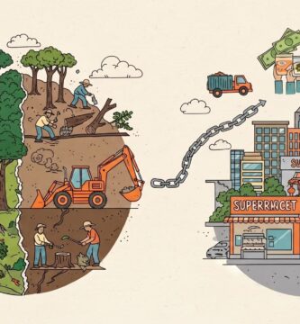 De la mesa a la selva: cómo nuestros alimentos impulsan la deforestación