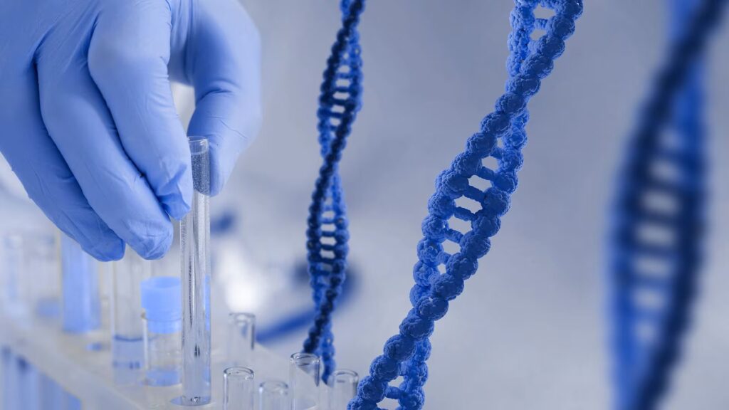 Las enzimas reparadoras del ADN tienen preferencias que moldean el genoma humano
