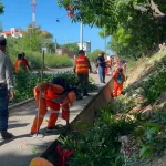 MOPC inicia jornada de limpieza y recuperación en autopista Seis de Noviembre