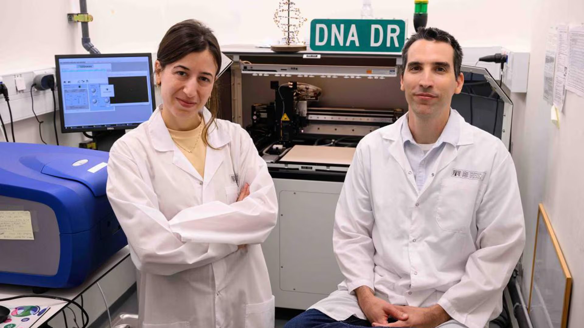Los hallazgos sugieren que la estructura y la secuencia del ADN influyen en el éxito de la reparación (Instituto Weizmann)