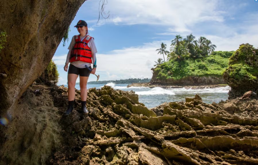 La paleobióloga Erin Dillon recolecta fósiles en Bocas del Toro, donde los afloramientos rocosos conservan registros de la historia marina del Caribe. Crédito: Jorge Alemán.