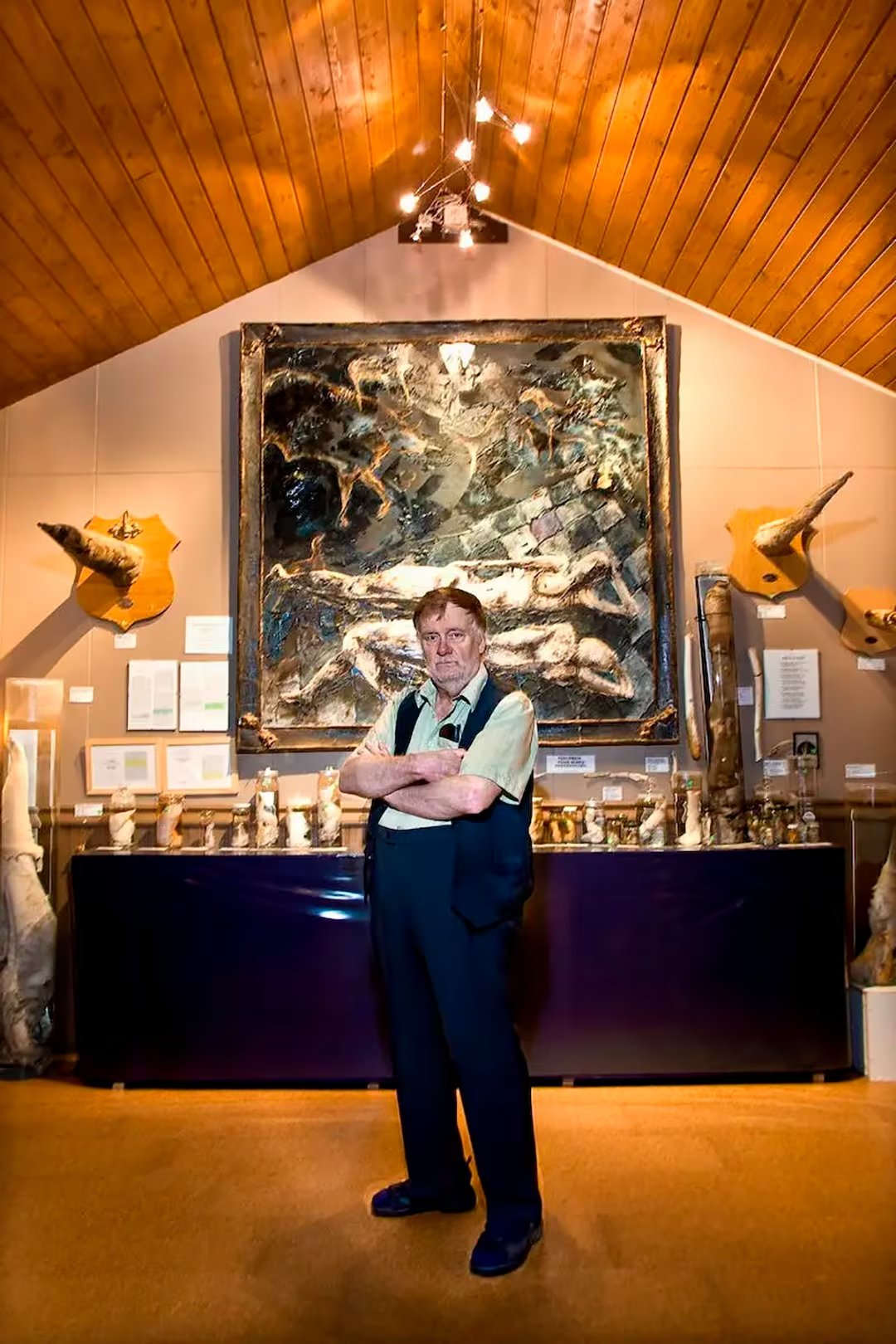El museo falol&oacute;gico de Reikiavik es el &uacute;nico en su tipo en el mundo: 280 espec&iacute;menes preservados de mam&iacute;feros marinos y terrestres tratados con rigor cient&iacute;fico (Foto: The Icelandic Phallological Museum)