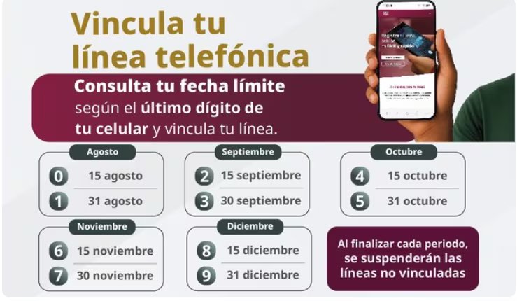 Una infograf&iacute;a detalla las fechas l&iacute;mite para vincular las l&iacute;neas telef&oacute;nicas en M&eacute;xico, seg&uacute;n el &uacute;ltimo d&iacute;gito del n&uacute;mero celular, con la suspensi&oacute;n de l&iacute;neas no registradas. (Comisi&oacute;n Reguladora de Telecomunicaciones)